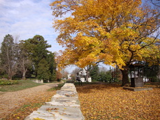 long view of the Sunken Road and Stone Wall